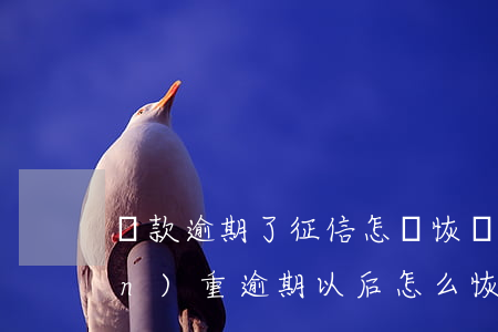 貸款逾期了征信怎樣恢復(fù)(嚴(yán)重逾期以后怎么恢復(fù)征信)