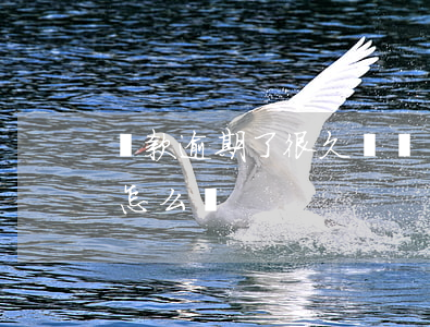 貸款逾期了很久沒還(貸款逾期很久我想還款怎么辦)
