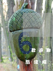 貸款逾期了微信零錢司法會凍結（來分期逾期后法院凍結微信零錢）