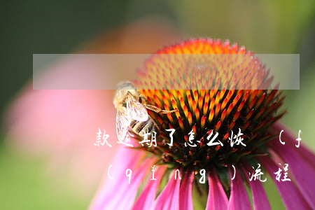 貸款逾期了怎么恢復(fù)信用（貸款的申請(qǐng)流程）