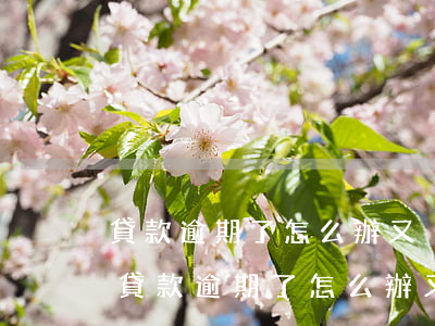 貸款逾期了怎么辦又沒錢還會影響征信嗎-貸款逾期了怎么辦又沒錢還會影響征信嗎