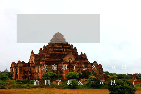 貸款逾期了怎么辦可以補(bǔ)救嗎(貸款逾期了怎么辦可以補(bǔ)救嗎)
