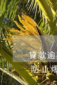 貸款逾期了怎么避免爆通訊錄(貸款逾期怎么防止爆通訊錄)