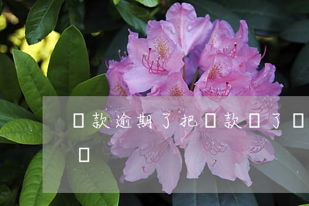貸款逾期了把貸款還了(貸款利息逾期了怎么還)