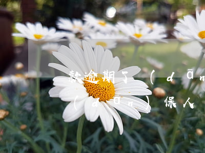 貸款逾期了擔(dān)保人征信(貸款逾期擔(dān)保人個(gè)人征信影響什么)