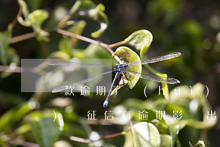 貸款逾期了會(huì)影響出國(guó)嗎(征信有逾期影響出國(guó)嗎)
