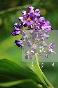 貸款逾期了會(huì)找單位嗎(逾期一個(gè)月會(huì)不會(huì)找到單位)