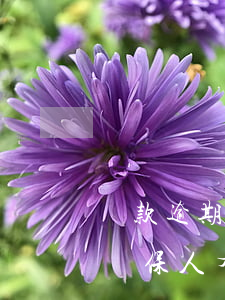 貸款逾期了會封擔保人有(貸款人逾期還款對擔保人有什么后果)
