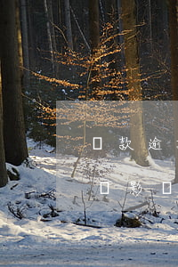 貸款逾期了會有案底嗎(貸款有逾期記錄是否會影響房貸)