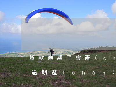 貸款逾期了會產(chǎn)生費用嗎(貸款逾期產(chǎn)生的費用可以不還嗎)
