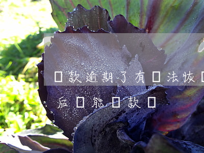 貸款逾期了有辦法恢復征信嗎(貸款逾期了以后還能貸款嗎)