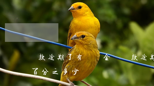 貸款逾期了有違約金嗎(貸款逾期違約金一般百分之多少)