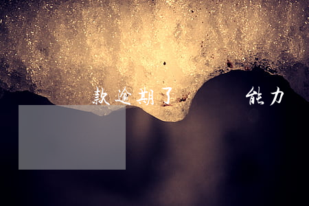 貸款逾期了無償還能力