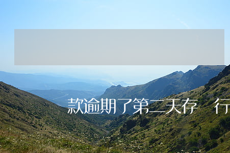 貸款逾期了第二天存(銀行貸款逾期2天)