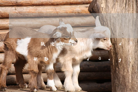 貸款逾期了能去當(dāng)兵嗎(貸款逾期影響當(dāng)兵嗎)