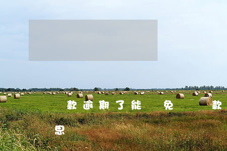 貸款逾期了能減免嗎(貸款逾期減免是什么意思)