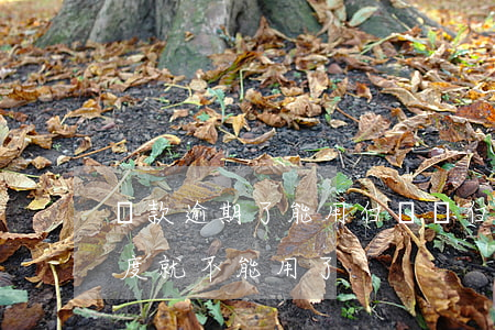貸款逾期了能用白條嗎(白條逾期是不是有額度就不能用了)
