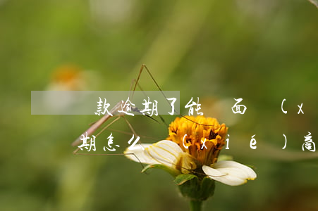 貸款逾期了能見面協(xié)商嗎(貸款逾期怎么協(xié)商處理)
