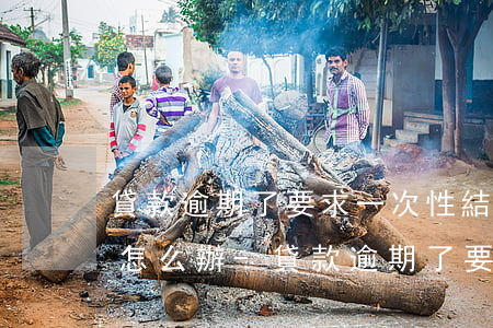 貸款逾期了要求一次性結(jié)清貸款怎么辦-貸款逾期了要求一次性結(jié)清貸款怎么辦呢