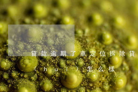 貸款逾期了車定位拆除(貸款車把定位拆了會(huì)怎么樣)