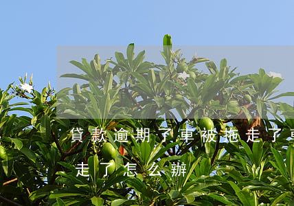 貸款逾期了車被拖走了(車抵押貸款逾期被拖走了怎么辦)