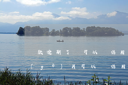 貸款逾期了還可以辦信用卡嗎（借款逾期一個(gè)月可以辦信用卡不）