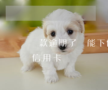 貸款逾期了還能下信用卡(貸款逾期了還能下信用卡)