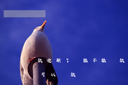 貸款逾期了還能不能貸款(貸款逾期還了以后還可以貸款嗎)