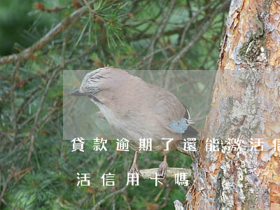 貸款逾期了還能激活信用卡嗎 有逾期可以激活信用卡嗎