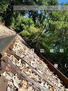 貸款逾期二天會(huì)怎樣-借貸逾期兩天會(huì)怎么樣?