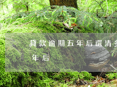 貸款逾期五年后還清多久能貸款（貸款逾期五年后）