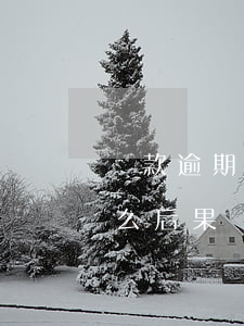 貸款逾期五年還用還嗎(貸款逾期5年了是什么后果)