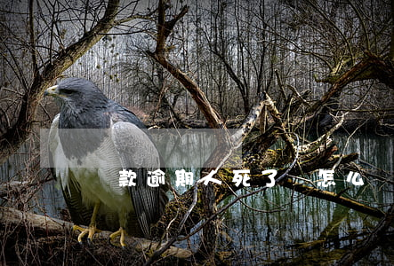 貸款逾期人死了會怎么樣(啥叫貸款逾期了)