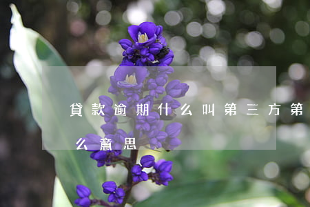 貸款逾期什么叫第三方(第三方逾期扣款是什么意思)