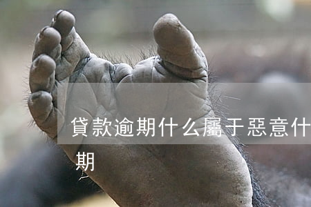 貸款逾期什么屬于惡意(什么情況屬于惡意逾期)