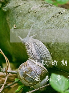 貸款逾期什么情況會(huì)被拘捕(貸款逾期多久被派出所抓去)