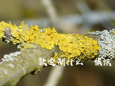 貸款逾期什么時候恢復(貸款逾期幾小時嚴重嗎)