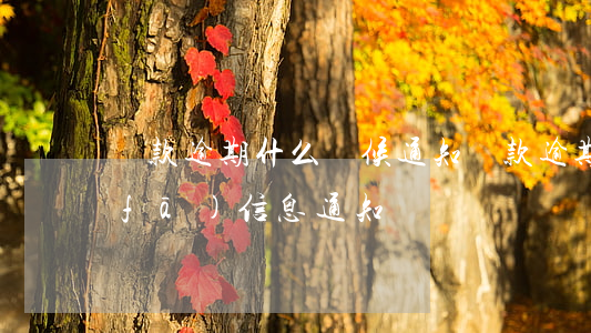 貸款逾期什么時候通知(貸款逾期法院是發(fā)信息通知嗎)