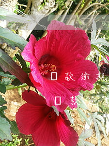 貸款逾期他們說要去老家(網(wǎng)上貸款逾期會不會找到老家)
