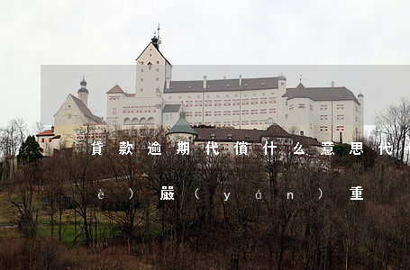 貸款逾期代償什么意思(代償和逾期哪個(gè)嚴(yán)重)