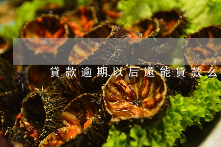 貸款逾期以后還能貸款么(逾期過還能貸款嗎)