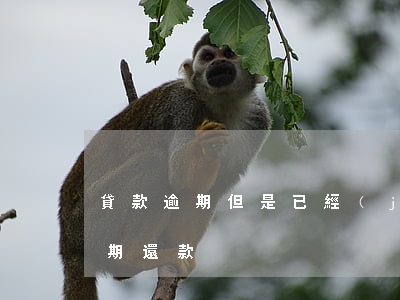 貸款逾期但是已經(jīng)還了(貸款逾期還款)