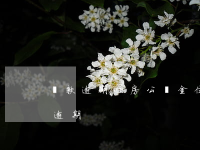 貸款逾期住房公積金(住房公積金貸款多久算逾期)