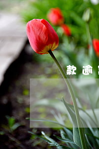 貸款逾期余額怎么算(貸款逾期余額怎么算)