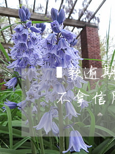 貸款逾期來(lái)還錢(qián)卡不拿(信用卡逾期錢(qián)還不進(jìn)去怎么辦)