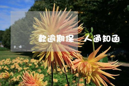 貸款逾期保證人通知函(貸款逾期催收通知書)