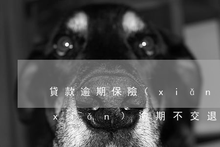 貸款逾期保險(xiǎn)可以退嗎(保險(xiǎn)逾期不交退保還有錢(qián)退嗎)