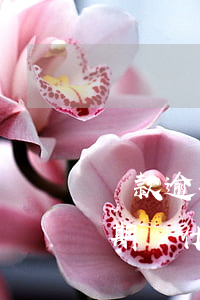 貸款逾期信息說凍結(jié)賬戶(沒有逾期為什么說賬戶已凍結(jié))