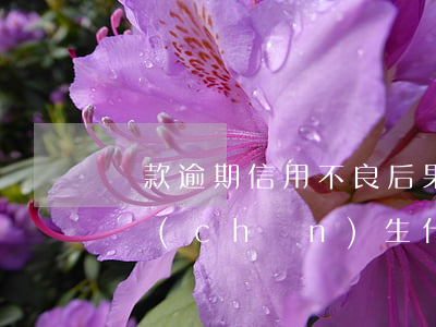 貸款逾期信用不良后果(銀行信用貸款逾期會產(chǎn)生什么后果)