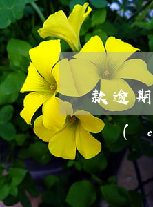貸款逾期信用不良影響嗎(銀行信用貸款逾期會產(chǎn)生什么后果)